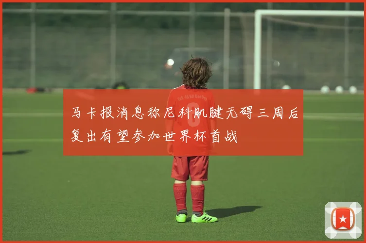 马卡报消息称尼科肌腱无碍三周后复出有望参加世界杯首战